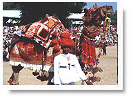 Pushkar Fair
